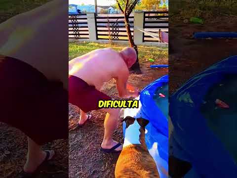Porque eles CORTAM as PISCINAS? #curiosidades #piscina #interessante