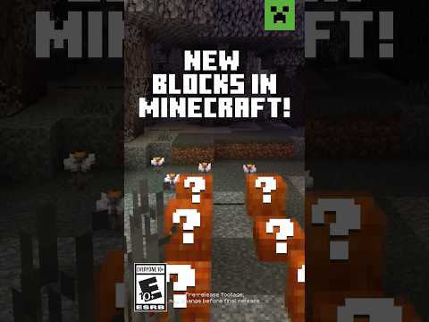 NEW BLOCKS IN MINECRAFT! TRY IT NOW!