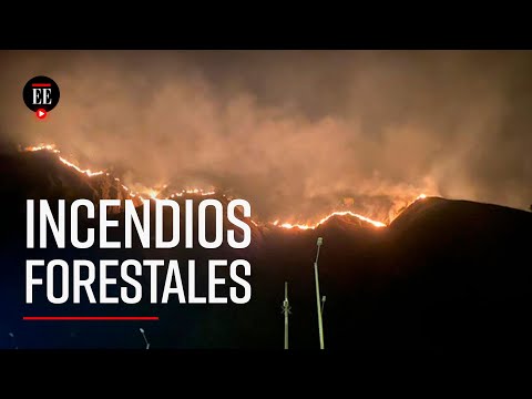 Incendios forestales: ya son más de 1.400 hectáreas afectadas en el país - El Espectador