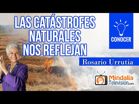 Las catástrofes naturales nos reflejan, por Rosario Urrutia