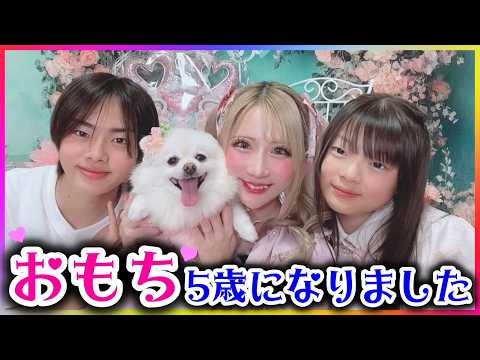 おもち5歳の誕生日🎂💓準備〜お誕生日会までを大公開💓【ポメラニアン】