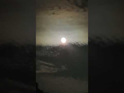 ブルー🩵ムーン🌕