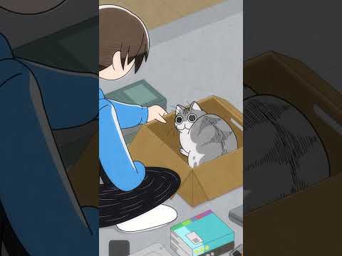 夜は猫といっしょ：猫のキュルガが癒しを届ける第98夜のエピソード サムネイル