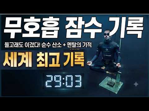 #29분의 #기적,#무호흡 #잠수 #세계 최고 #<strong>기록</strong>