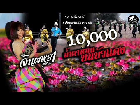 น้ำตาหล่นบนบัวแดง---LINE-DANCE น้ำตาหล่นบนบัวแดง---LINE-DANCE
