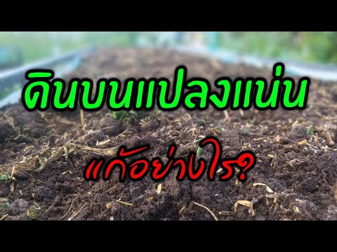 ดินบนแปลงแน่นแก้อย่างไร