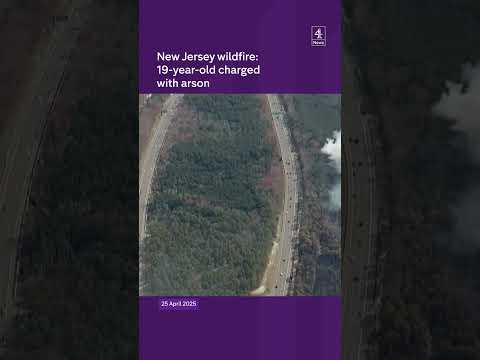 US wildfire: teen charged with arson