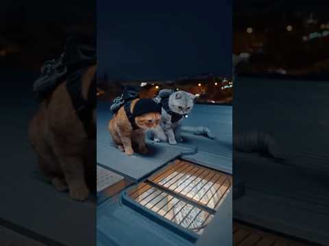 Mission: Impawsible 🐾💎