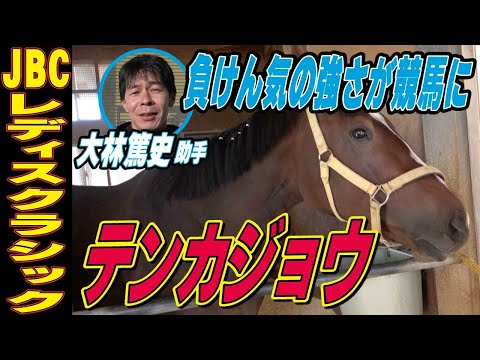 【JBCレディスクラシック2025】テンカジョウ・大林篤史助手インタビュー「使うごとに自分の仕事が分かってきた」「負けん気の強さが競馬に繋がっている」《東スポ競馬》