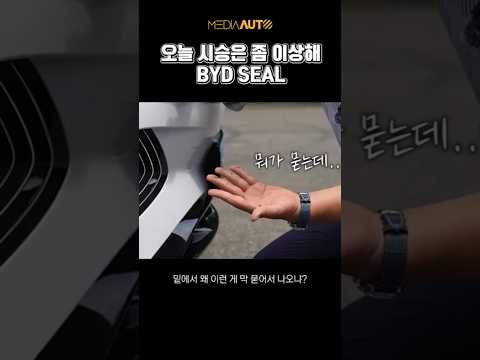 중국차 시승 중 일어난 일