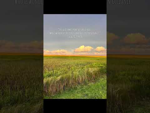 ‬‬#dailyscripture #fyp #truth #Jesus #life #bible #apostolic #teaching #gloriouschurch #kingdomlife