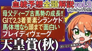 天皇賞(秋)2025 本来中距離ブレイディヴェーグ戻せてれば…シランケド！キュランダも正攻法なら 全馬血統解説vol.3 #四条大学血統ゼミ
