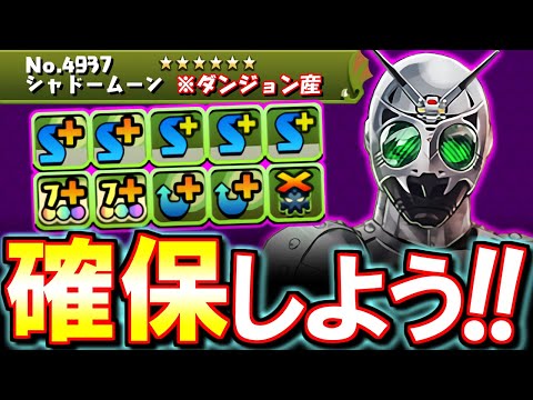 【見た方がいい】モンポ枠のモモタロスやダンジョン産のシャドームーンが魔改造レベルの強化!!仮面ライダーコラボ 非ガチャ限キャラの性能を徹底解説!!【パズドラ】
