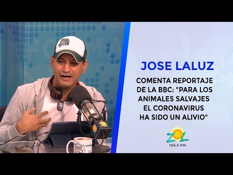 Jose Laluz comenta reportaje de la BBC: Para los animales salvaje el coronavirus ha sido un alivio