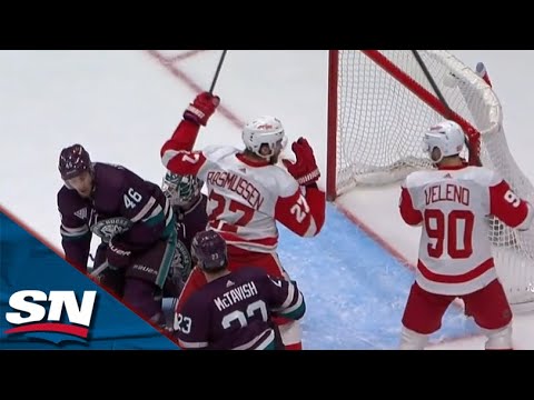 Red Wings Michael Rasmussen Redirects Home Late-Game Go-Ahead Goal vs. Ducks