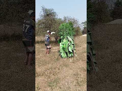 #Real #shortvideo #comedy #virelvideo #foryou