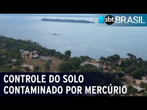 Pará terá que fazer controle de solo contaminado por mercúrio no Tapajós | SBT Brasil (16/02/24)