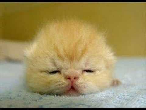 Me singing  一个像夏天一个像秋天 by 范玮琪 (Fan Wei Qi)