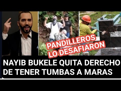 Nayib Bukele le responde a las ONGS porque destruyo las tumbas de las Pandillas y no dejara rastro!