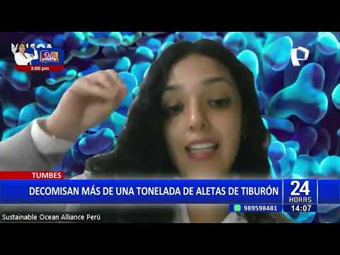 Tumbes: Incautan más de una tonelada de aletas de tiburón