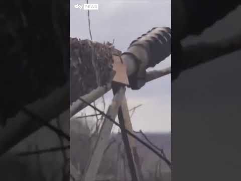 Russia says it's shot down Ukrainian planes