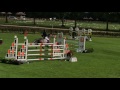 Cheval de CSO Paarden te koop/ Horses for sale