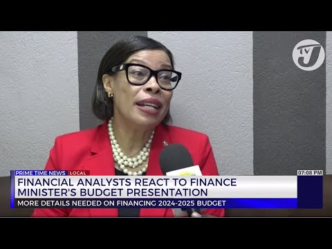 Financial Analysts React to Finance Minister's Budget Presentation | TVJ News