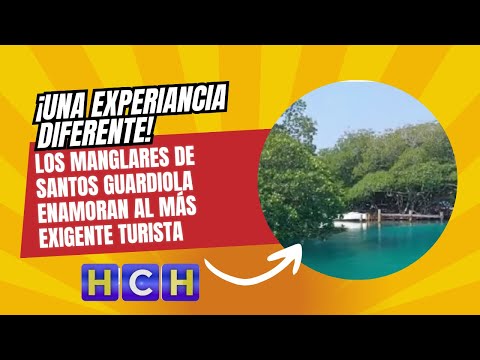 ¡Una experiancia diferente! los manglares de Santos Guardiola enamoran al más exigente turista