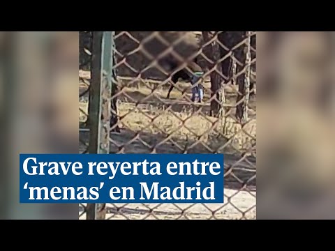 Reyerta a palos entre 'menas' en Madrid: alarma por robos e incidentes de menores conflictivos