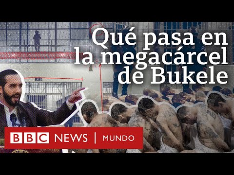 El secretismo que rodea al Cecot, la megacárcel símbolo de la guerra de Bukele contra las pandillas