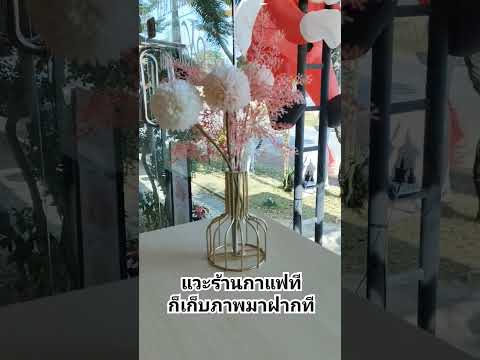 แต่งร้านน่ารักจัง