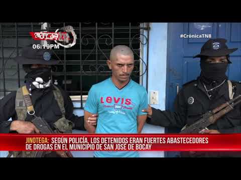 Policía incauta más de 11 mil plantas de marihuana en Jinotega – Nicaragua