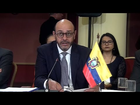 Palabras del viceministro de Relaciones Exteriores de la República del Ecuador, Luis Vayas