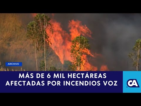 Más de 6 mil hectáreas devastadas por incendios en Guatemala desde diciembre, según CONRED