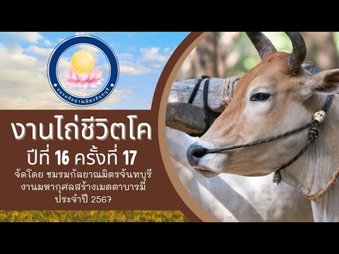 งานไถ่โคจันทบุรีครั้งที่17