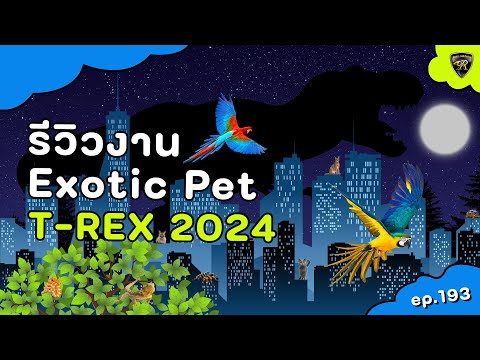 Reality Ball Python พาชมสัตว์เลี้ยงExoticในงานTRexครั้งที่3ปี2024【EP.1934K】reali