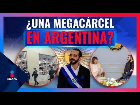 Argentina quiere copiar el modelo de seguridad de Nayib Bukele | Noticias con Francisco Zea