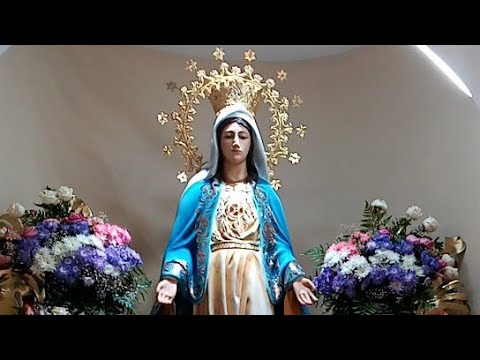 Santo Rosario PSJA - Miércoles 13 De Diciembre 2023