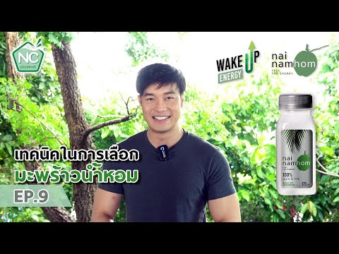 เทคนิคการเลือกน้ำมะพร้าวน้ำหอม เทคนิคการเลือกน้ำมะพร้าวน้ำหอม