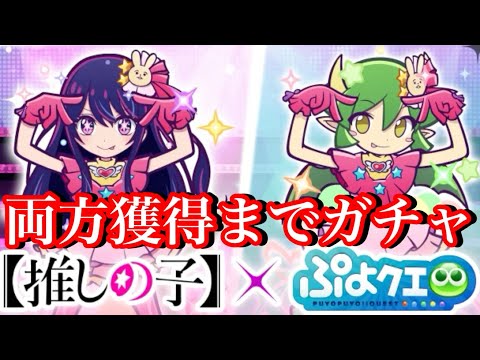 【ぷよクエ】フルパワーアイとドラコ獲得できるまでガチャしてみた