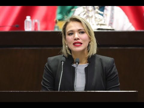 Dip. Lourdes Sánchez (PRI) - Iniciativa sobre liderazgo de mujeres en política