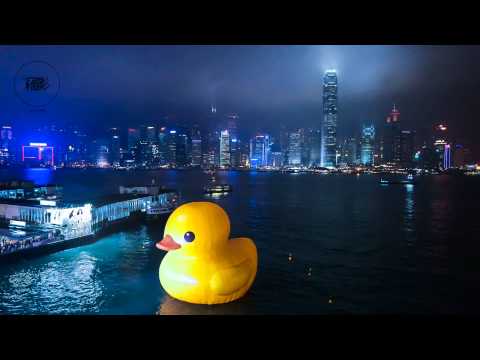 超可愛 Rubber Duck！15秒睇完巨鴨詠香江 ﹣Time Lapse