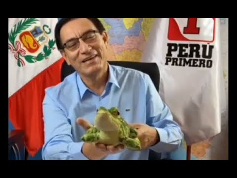 Martín Vizcarra presentó como mascota de su partido a un lagarto: Es cariñoso y simpático