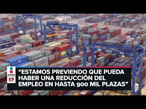 José Luis de la Cruz habla sobre la caída del PIB en México