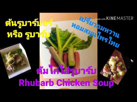 RhubarbChickenSoupต้มไก่ใส่