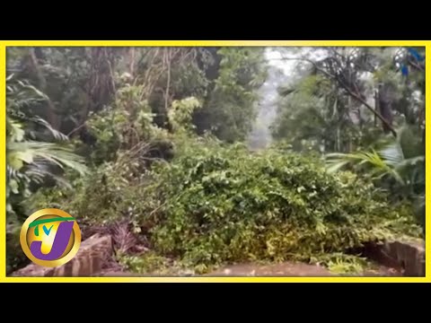 Tropical Storm Elsa Lashes Haiti & Dominica Republic | TVJ News - July 3 2021