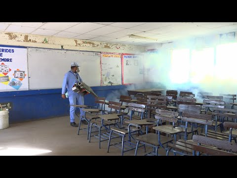 Minsa aplica biorat y rodenticida en colegios de Managua