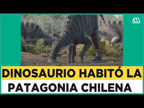 Gonkoken nanoi: El revolucionario descubrimiento de dinosaurio en la Patagonia chilena