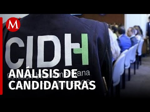 Elección de jueces de la CIDH en Paraguay, Leticia Bonifaz en competencia