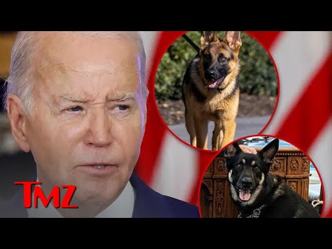 President Biden Present For Multiple Dog Bites On Secret Service Agents | TMZ TV